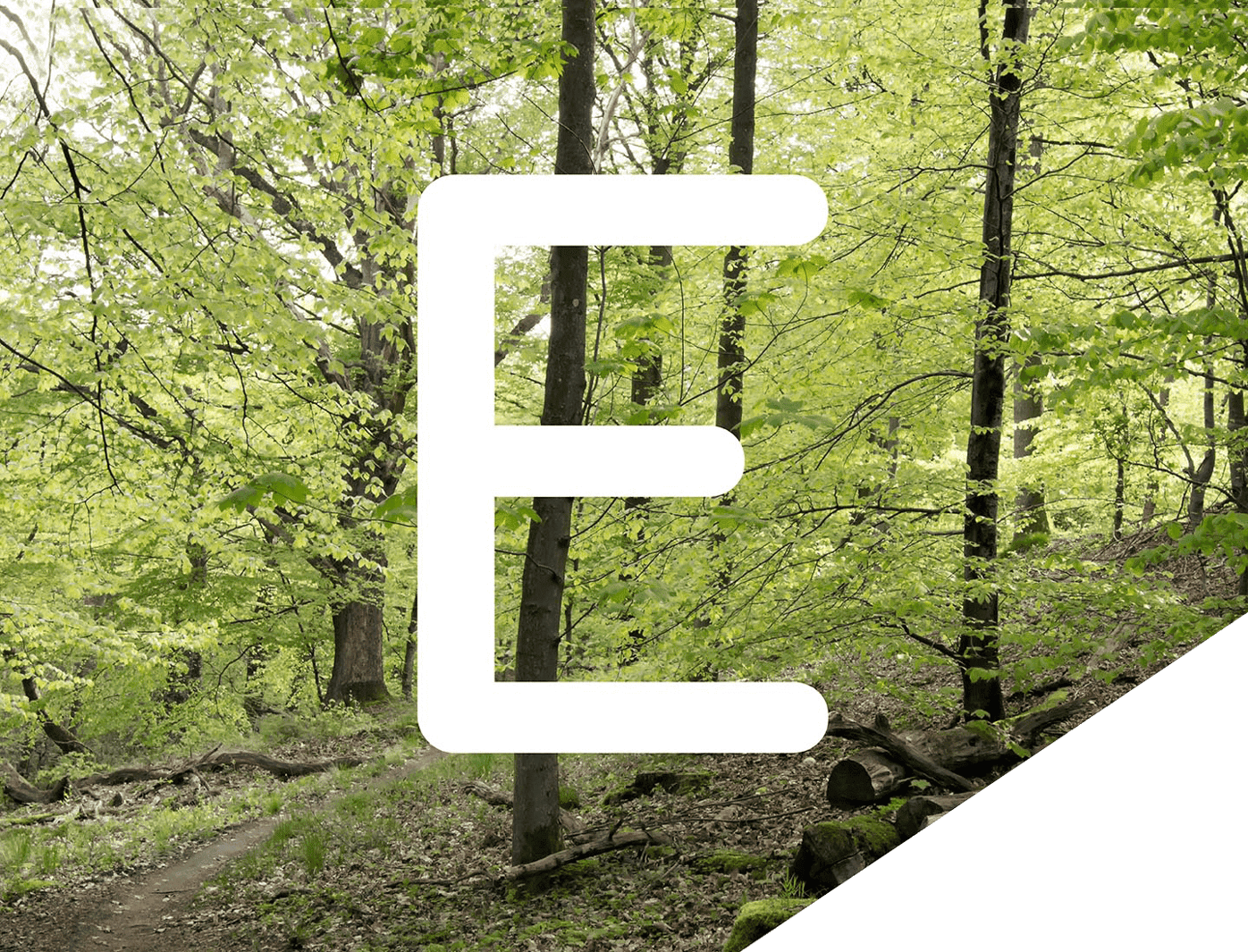E i ESG transparant