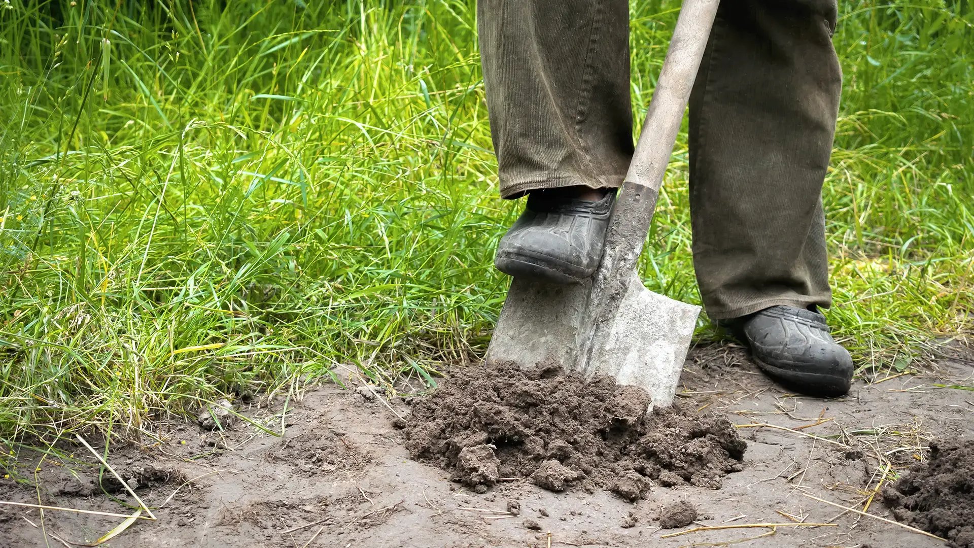 close-up-of-man-legs-digging-soil-ground-with-sho-2023-11-27-04-55-53-utc